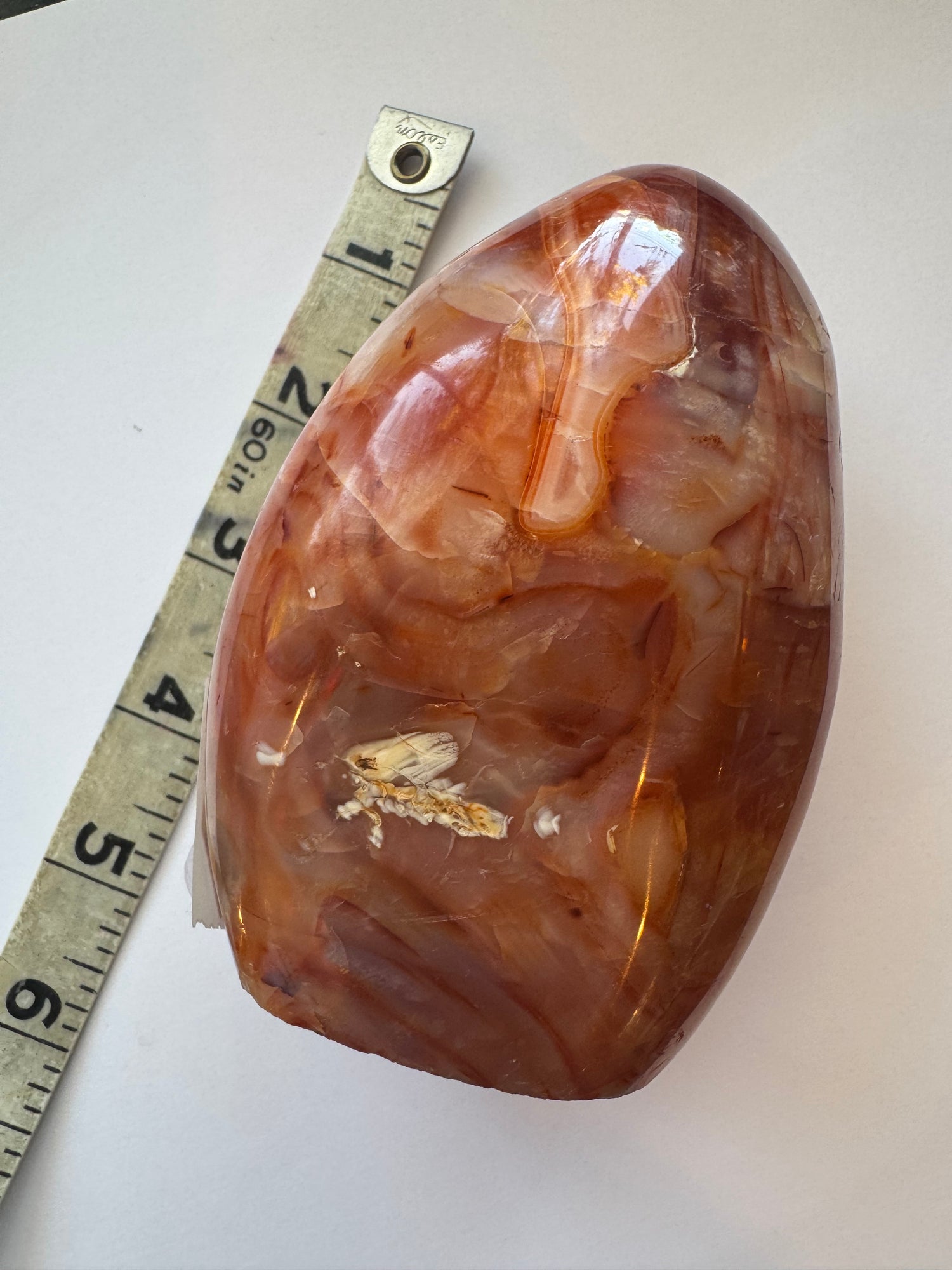 Carnelian Freeform 1.26 lb- Madagascar - Moon Room Shop and Wellness