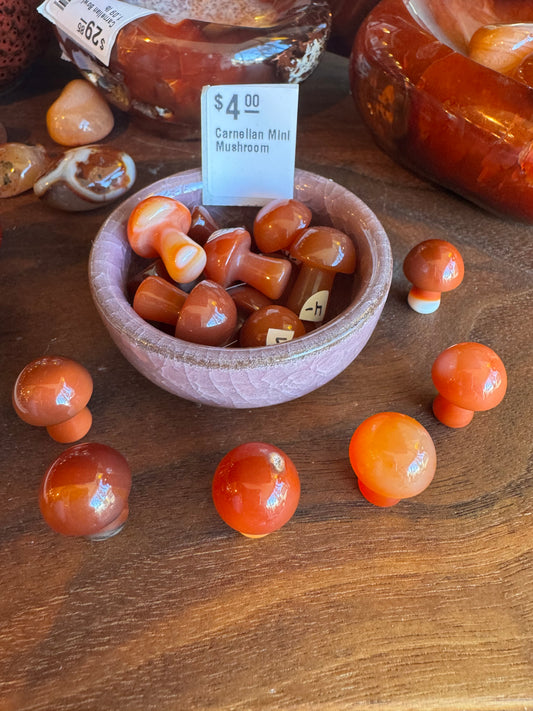Carnelian Mini Mushroom - Moon Room Shop and Wellness