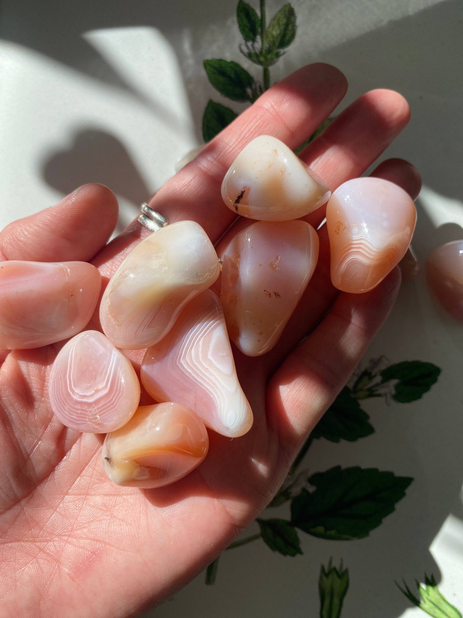 Apricot Agate Tumbled - Moon Room Shop and Wellness