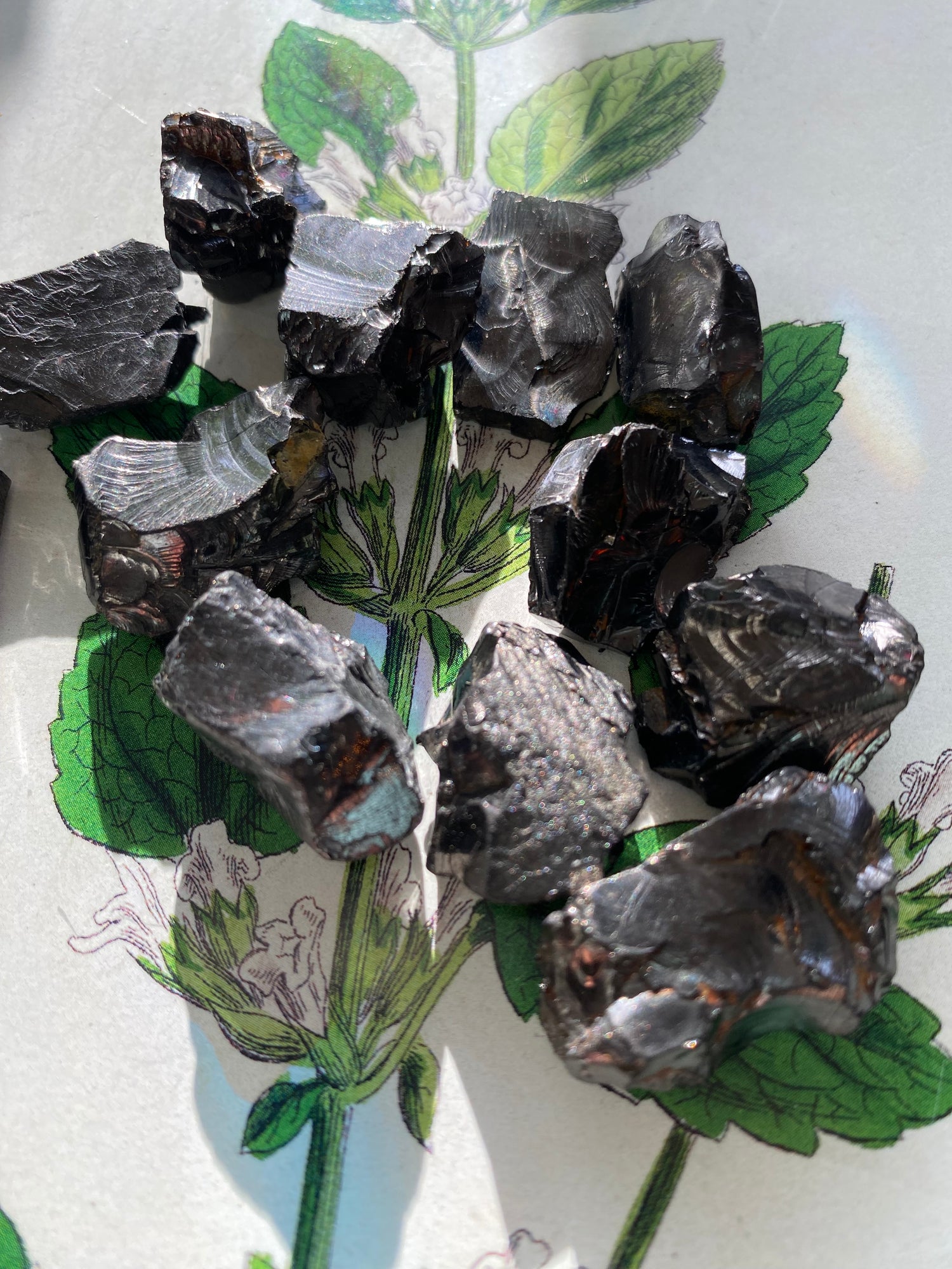 Elite Noble Shungite -1 piece- Russia - Moon Room Shop and Wellness