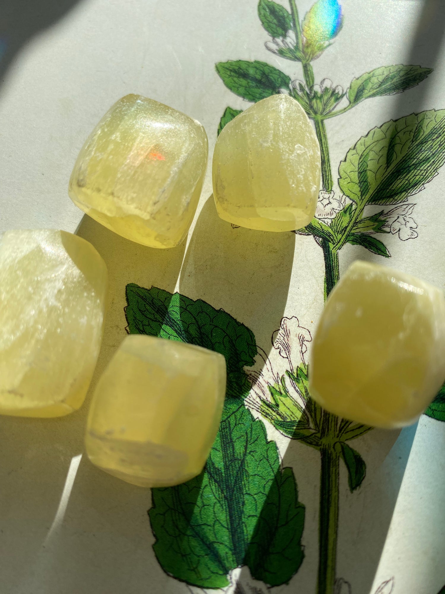 Lemon Calcite Tumbled - Moon Room Shop and Wellness