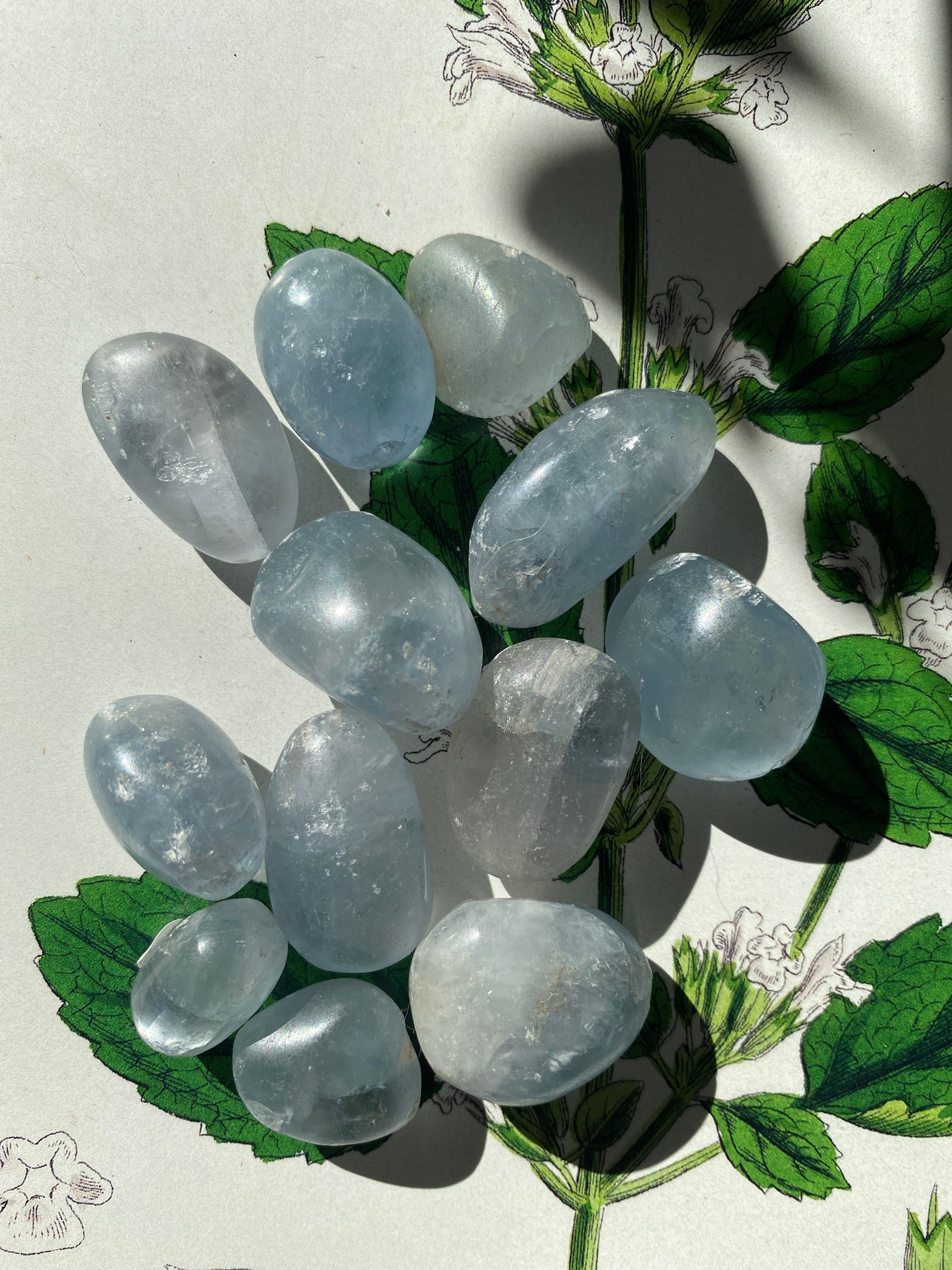 Celestite Tumbled - Moon Room Shop and Wellness