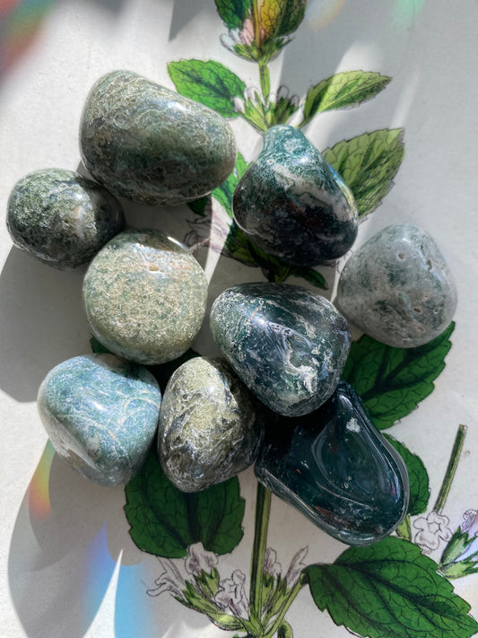 Moss Agate Tumbled - Moon Room Shop and Wellness