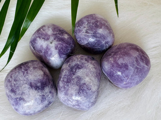 Lepidolite Tumbled Large - Moon Room Shop and Wellness