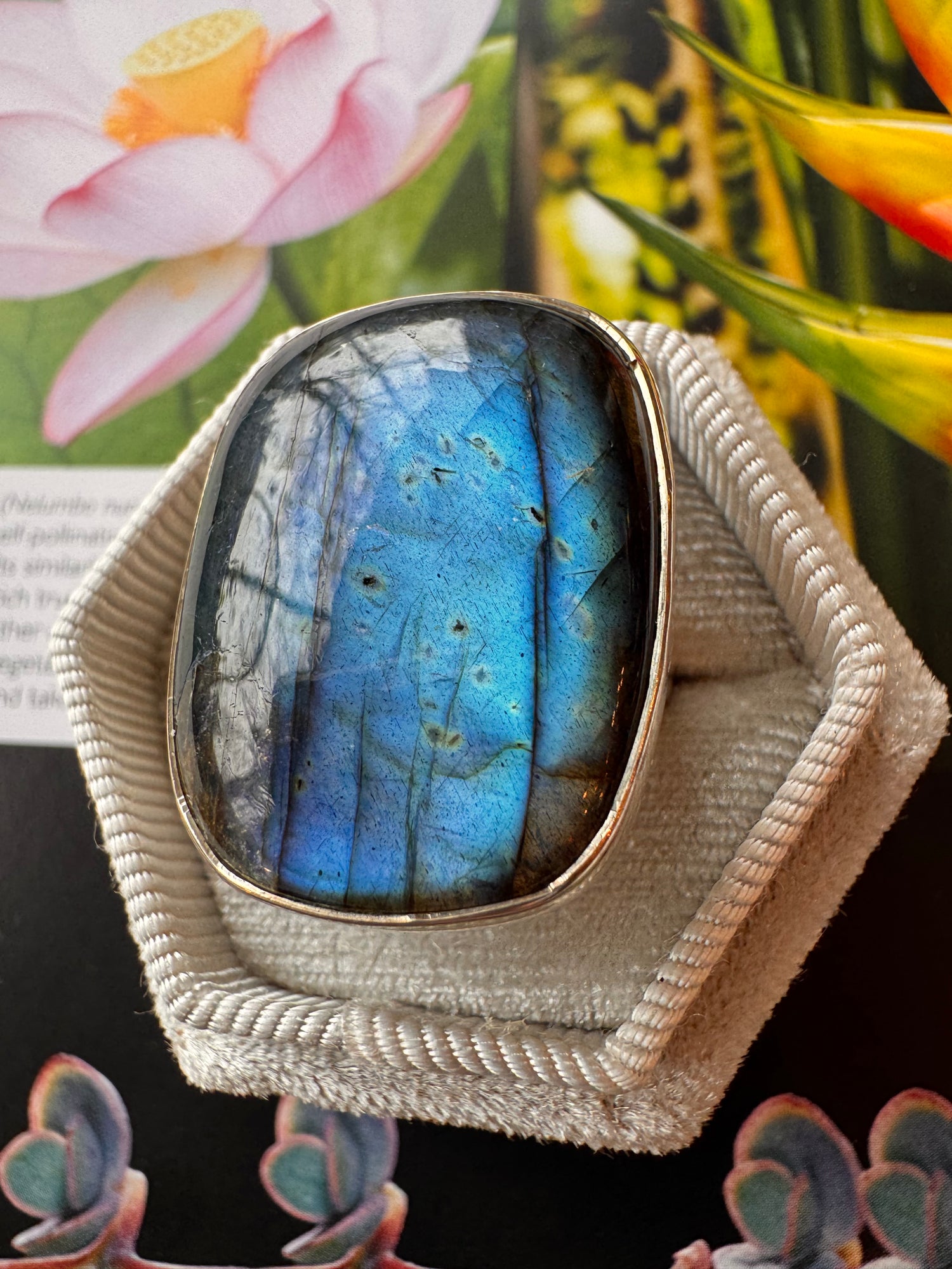 Labradorite Sterling Silver Ring Size Adjustable6-8 - Moon Room Shop and Wellness