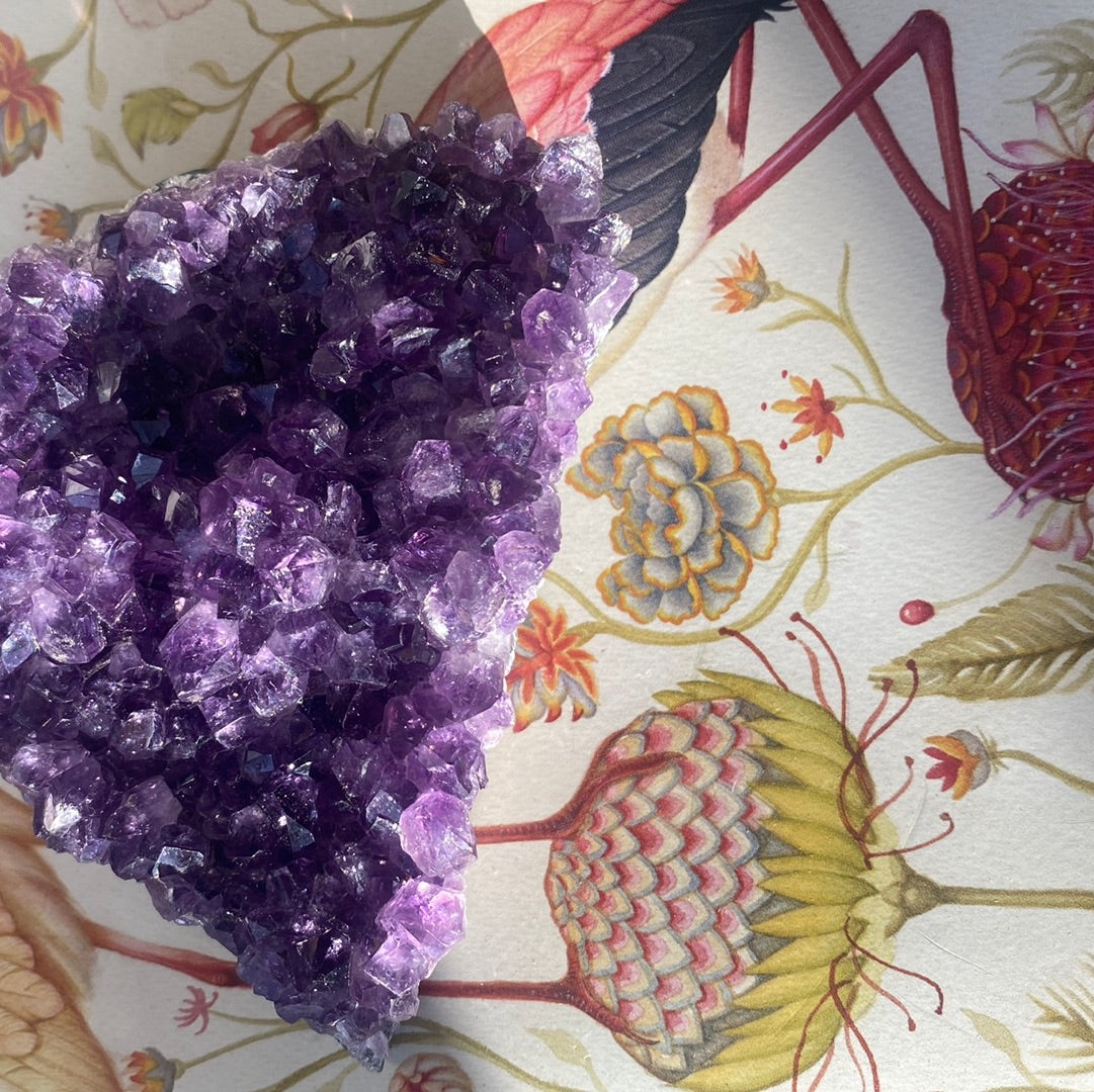 Amethyst Cluster Raw Crystal 181 g - Moon Room Shop and Wellness
