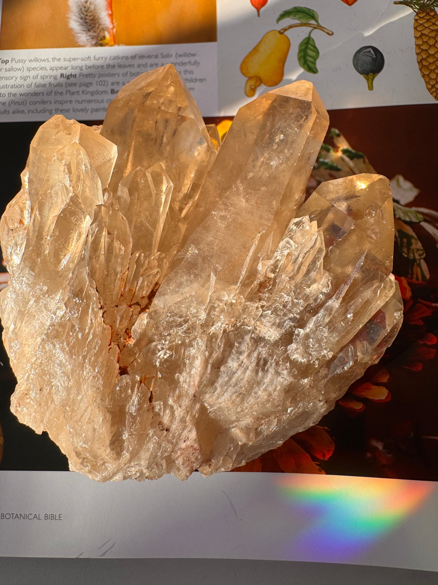Citrine Natural Specimens- 1.04 lb- Congo - Moon Room Shop and Wellness