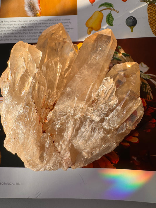 Citrine Natural Specimens- 1.04 lb- Congo - Moon Room Shop and Wellness