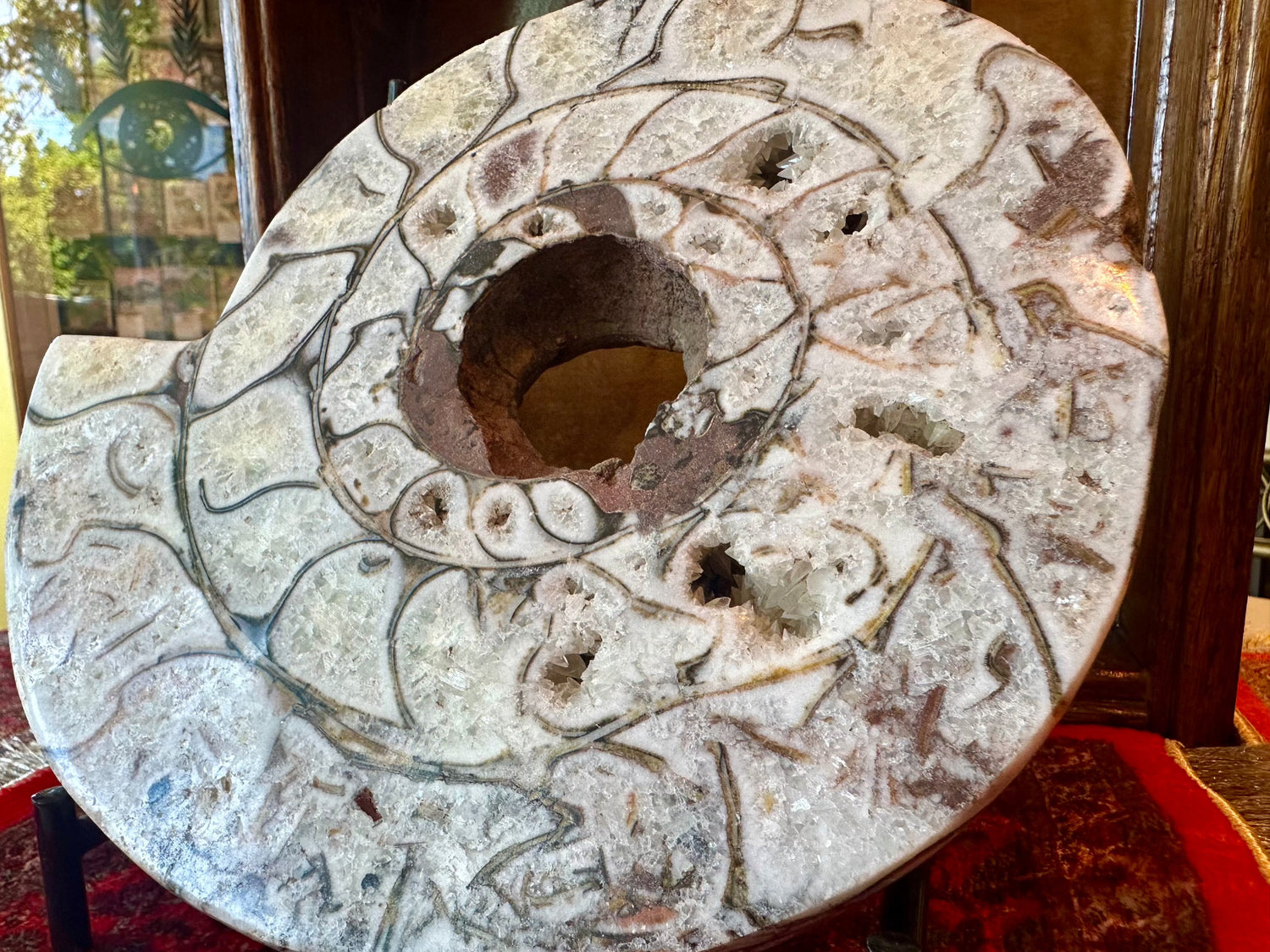 Large Indonesian Ammonite Cut and Polished 6.07 lbs - Moon Room Shop and Wellness