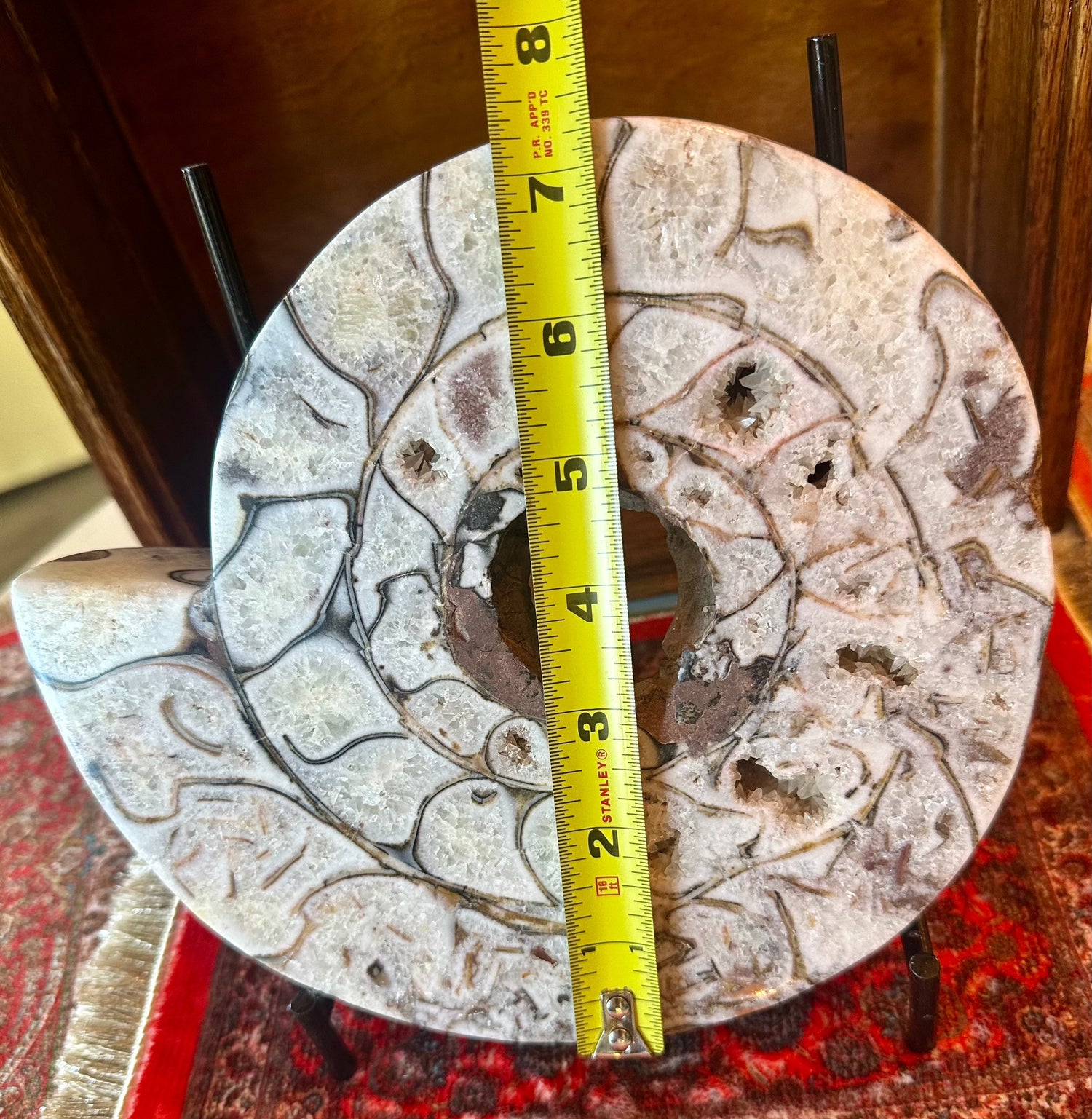 Large Indonesian Ammonite Cut and Polished 6.07 lbs - Moon Room Shop and Wellness