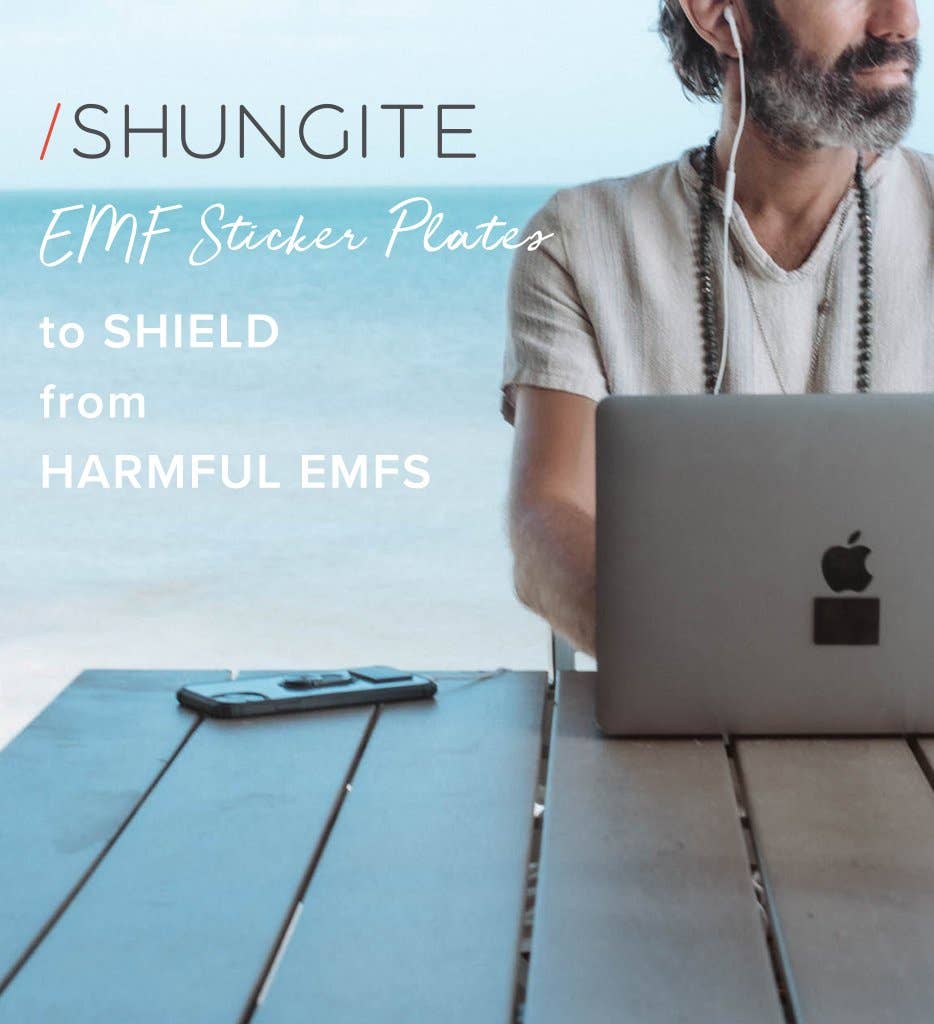 Shungite EMF Shield Set - Moon Room Shop and Wellness