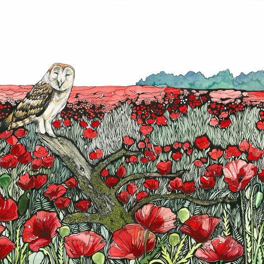 Owl in the Poppies Art Card