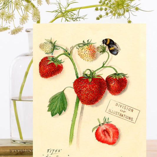 Strawberry Note Greeting Card - Blank - Moon Room Shop and Wellness