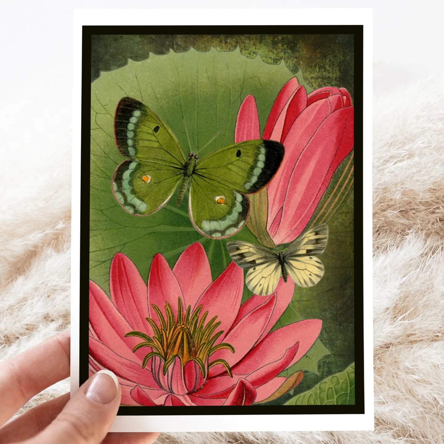 Pink Water Lilies and Moths Card- Blank Inside - Moon Room Shop and Wellness