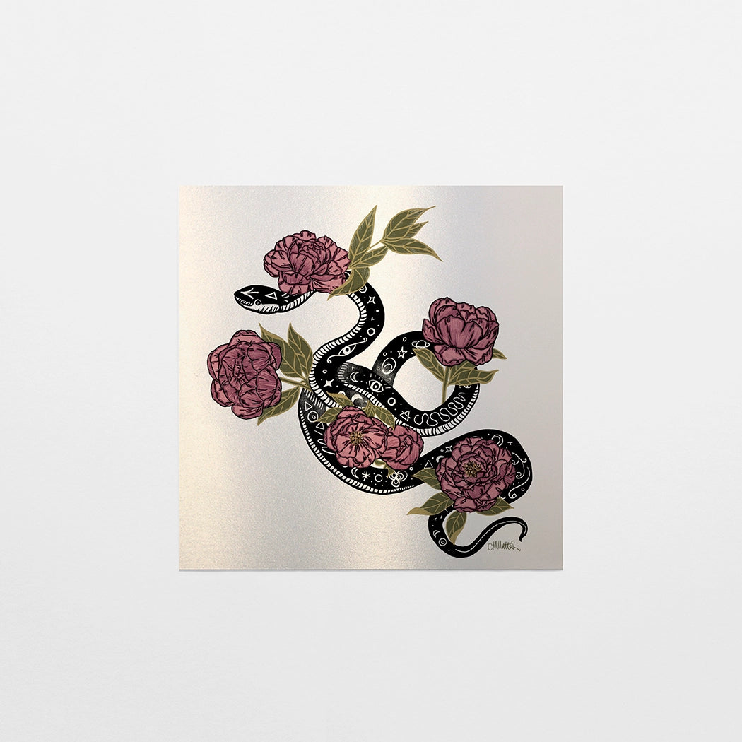 Celestial Snake Stardream 6x6 Art Print Black Snake - Moon Room Shop and Wellness