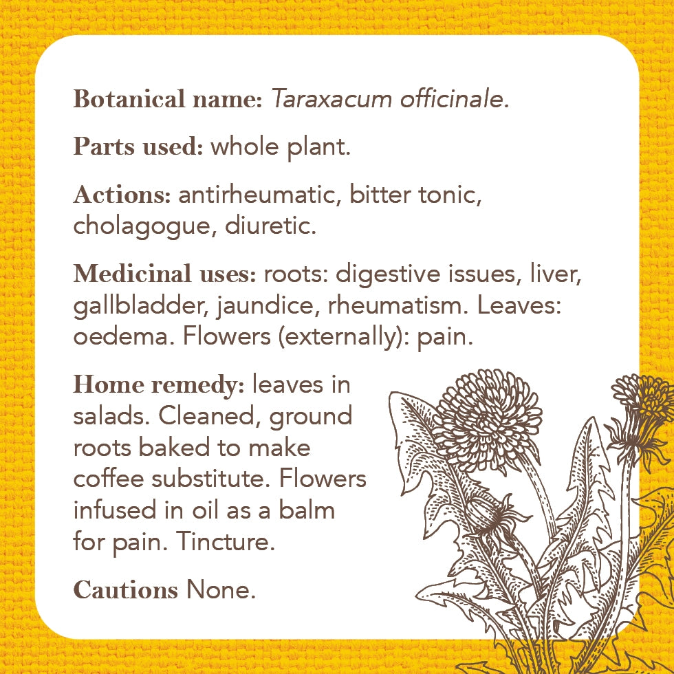Apothecary Flashcards- A Pocket Reference for Herbs - Moon Room Shop and Wellness