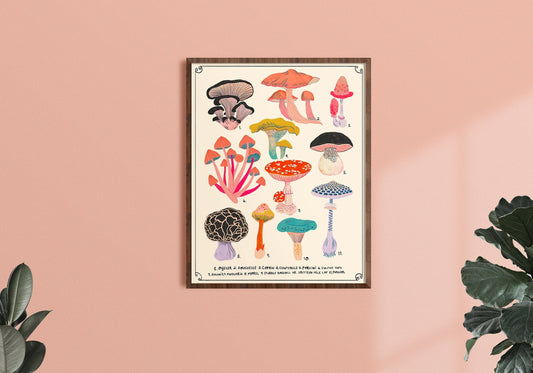 Types of Mushrooms Chart  Art Print- 5 x 7