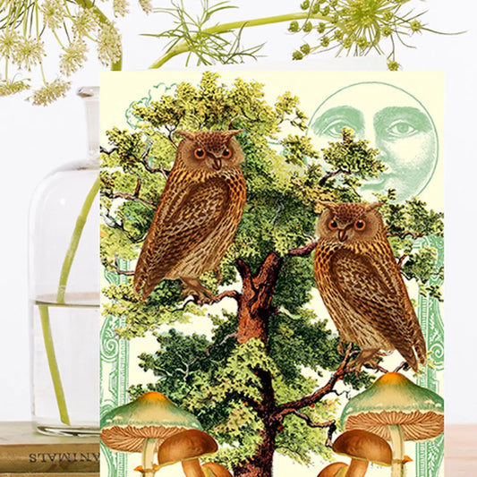Double Owl Blank Greeting Card - Moon Room Shop and Wellness