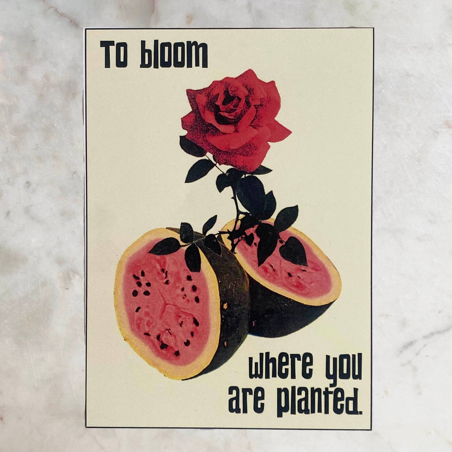 To Bloom Where You Are Planted Print - Moon Room Shop and Wellness