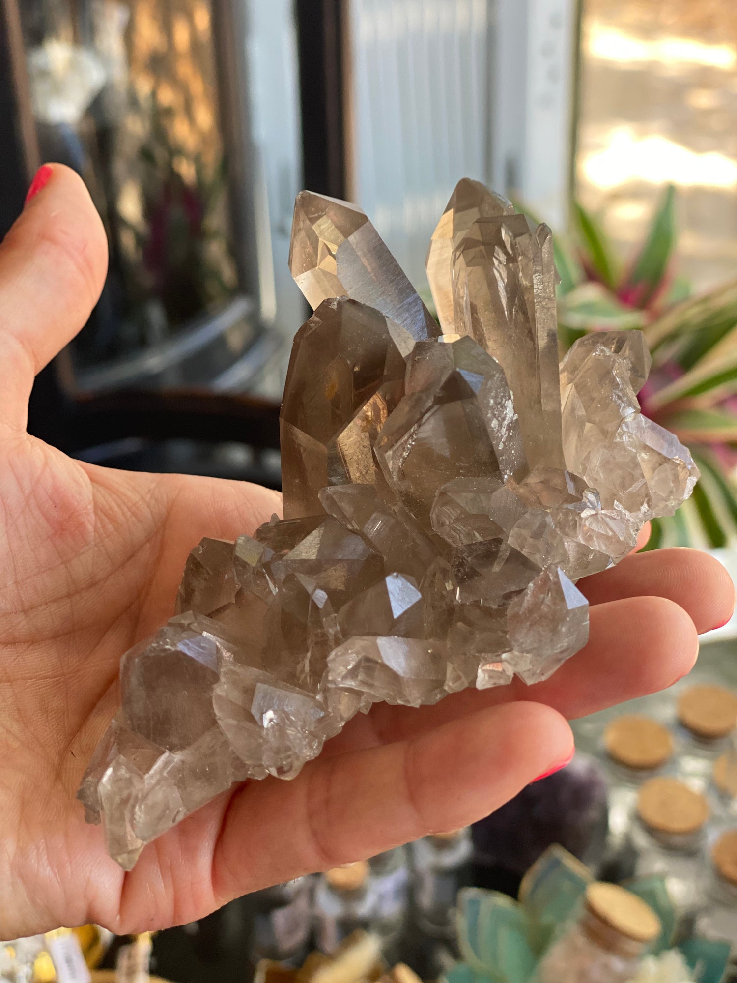 Smoky Quartz Cluster w/ Rainbow!  271 grams - Moon Room Shop and Wellness