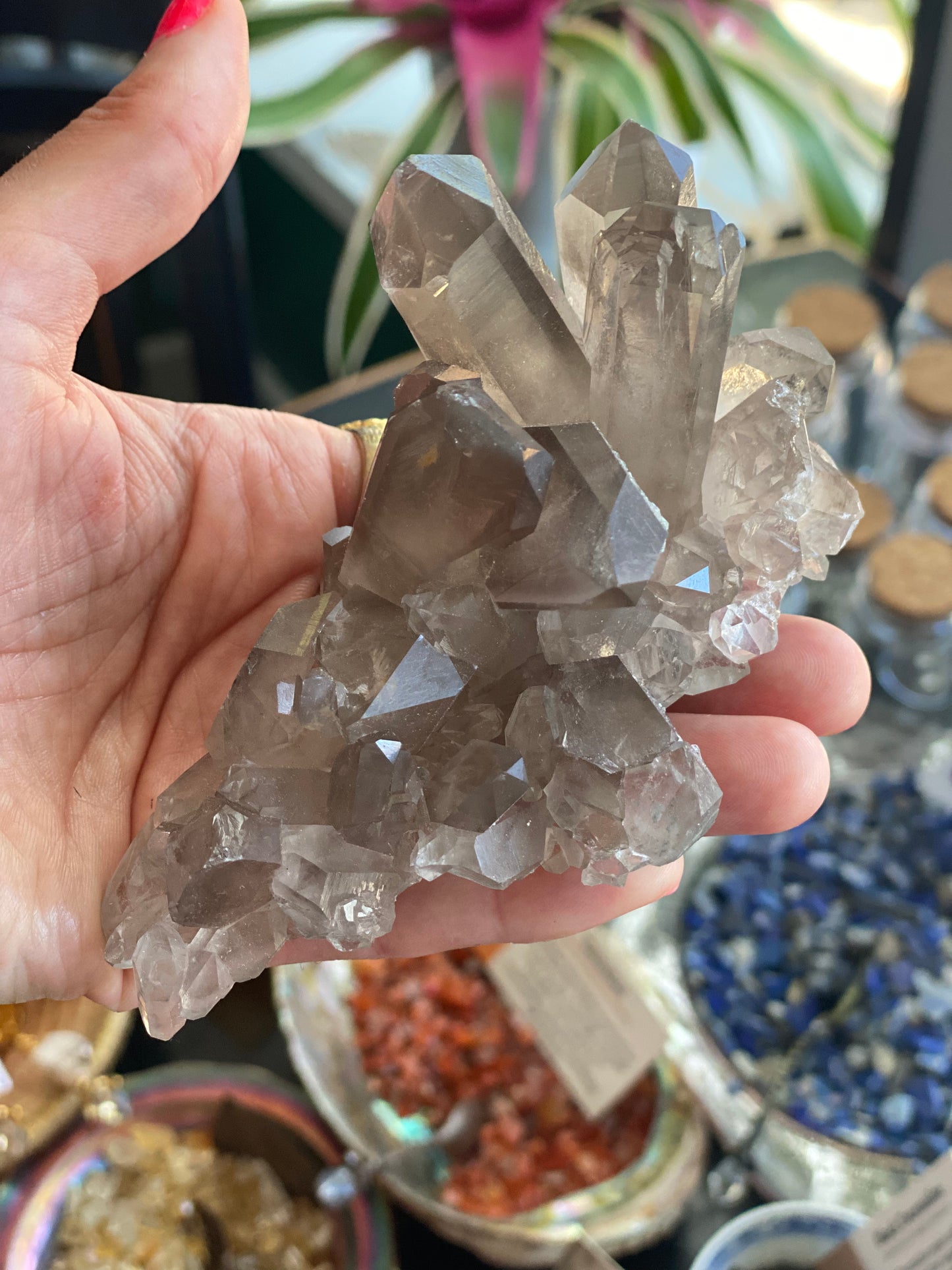 Smoky Quartz Cluster w/ Rainbow!  271 grams - Moon Room Shop and Wellness