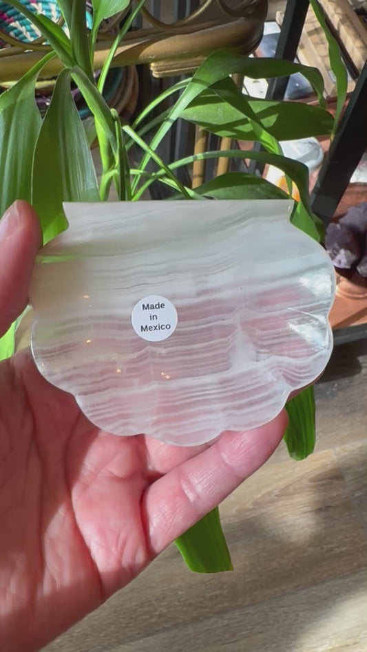 Onyx Shell Trinket Dish