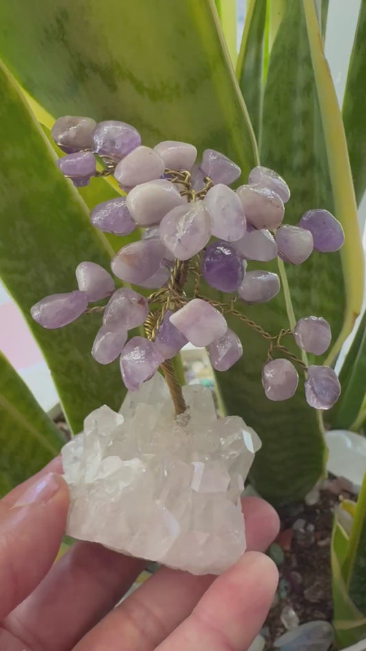 Amethyst Gem Tree on Clear Quartz -So Sweeeet!!