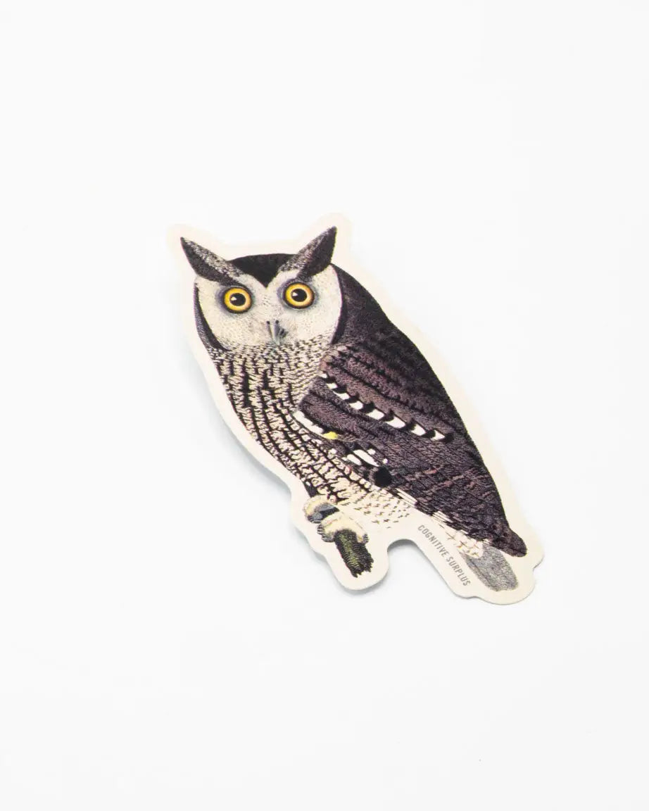 Motted Owl Sticker - Moon Room Shop and Wellness