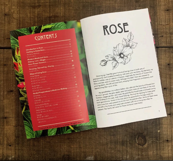 Rose Zine by Kathi Langelier - Moon Room Shop and Wellness
