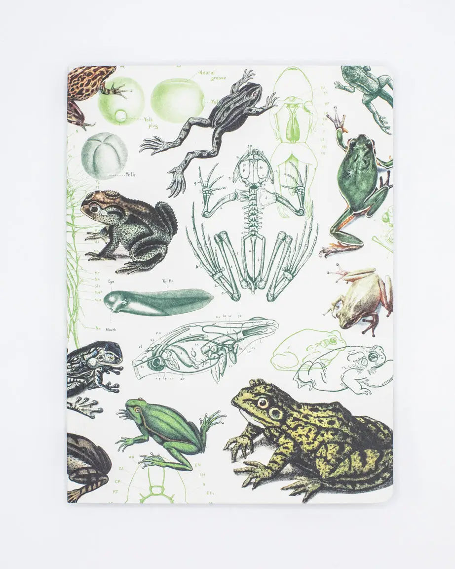Frogs and Toads Softcover-Lined - Moon Room Shop and Wellness