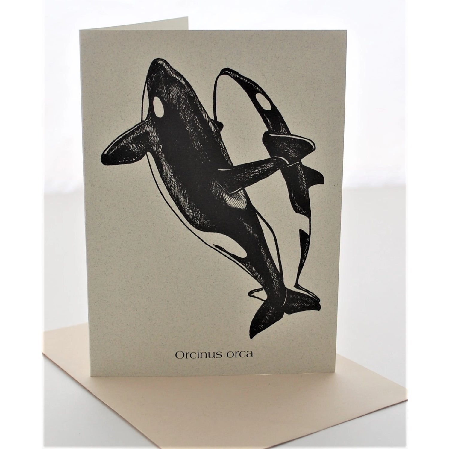 Orca Note Card - Moon Room Shop and Wellness