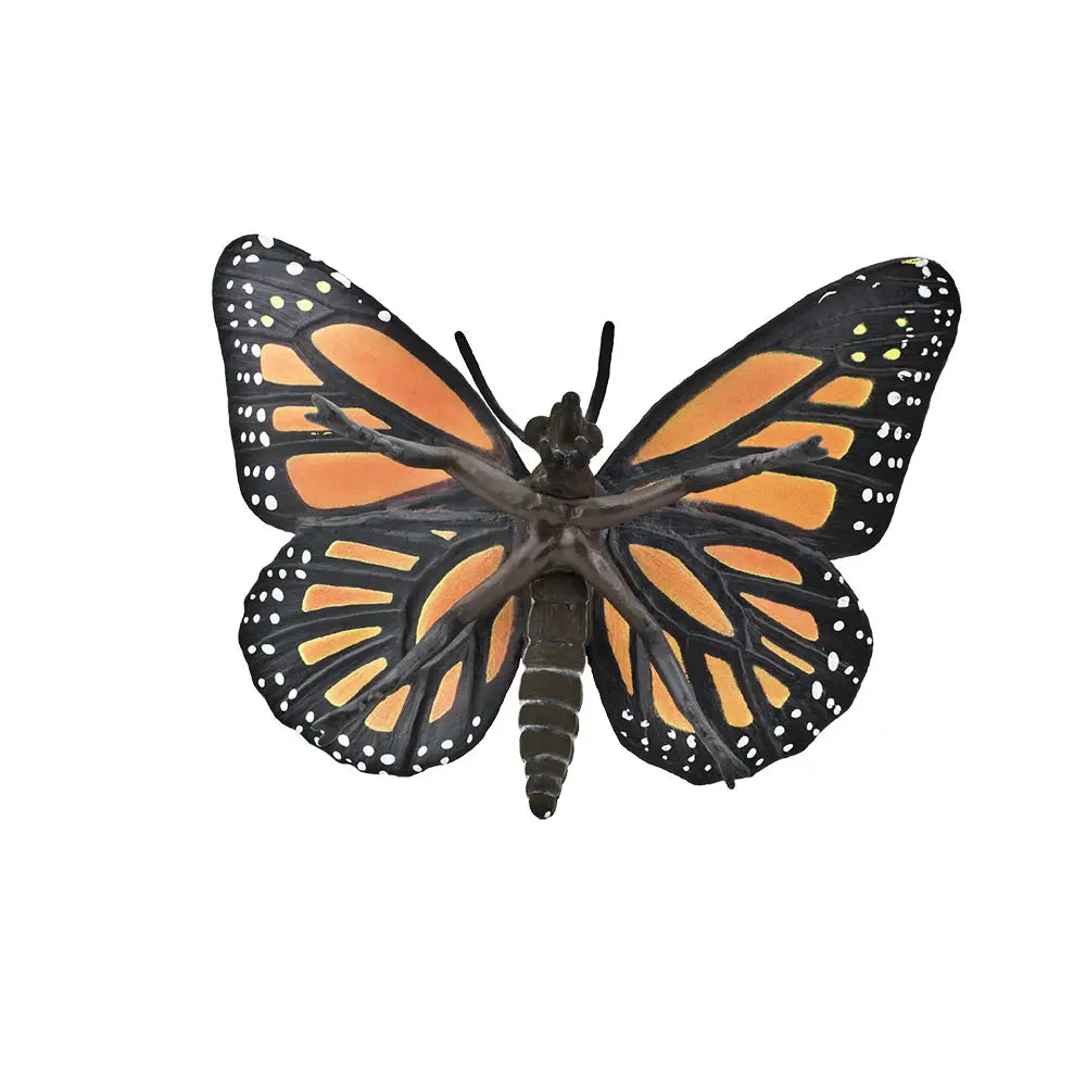 Monarch Butterfly - Moon Room Shop and Wellness