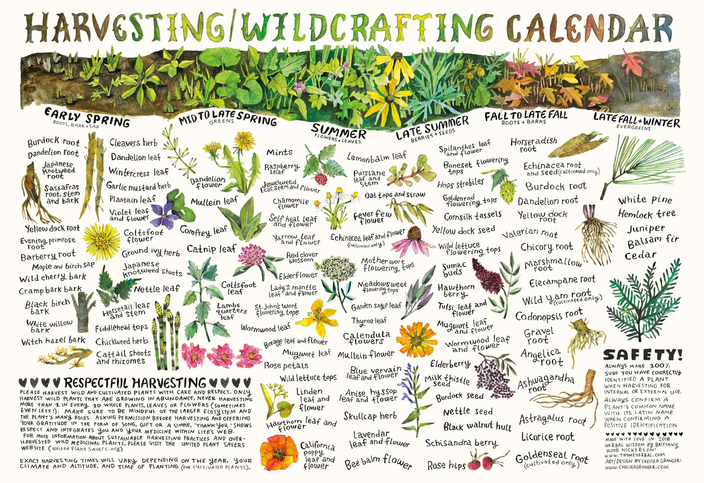 Harvesting and Wildcrafting Calendar - Moon Room Shop and Wellness