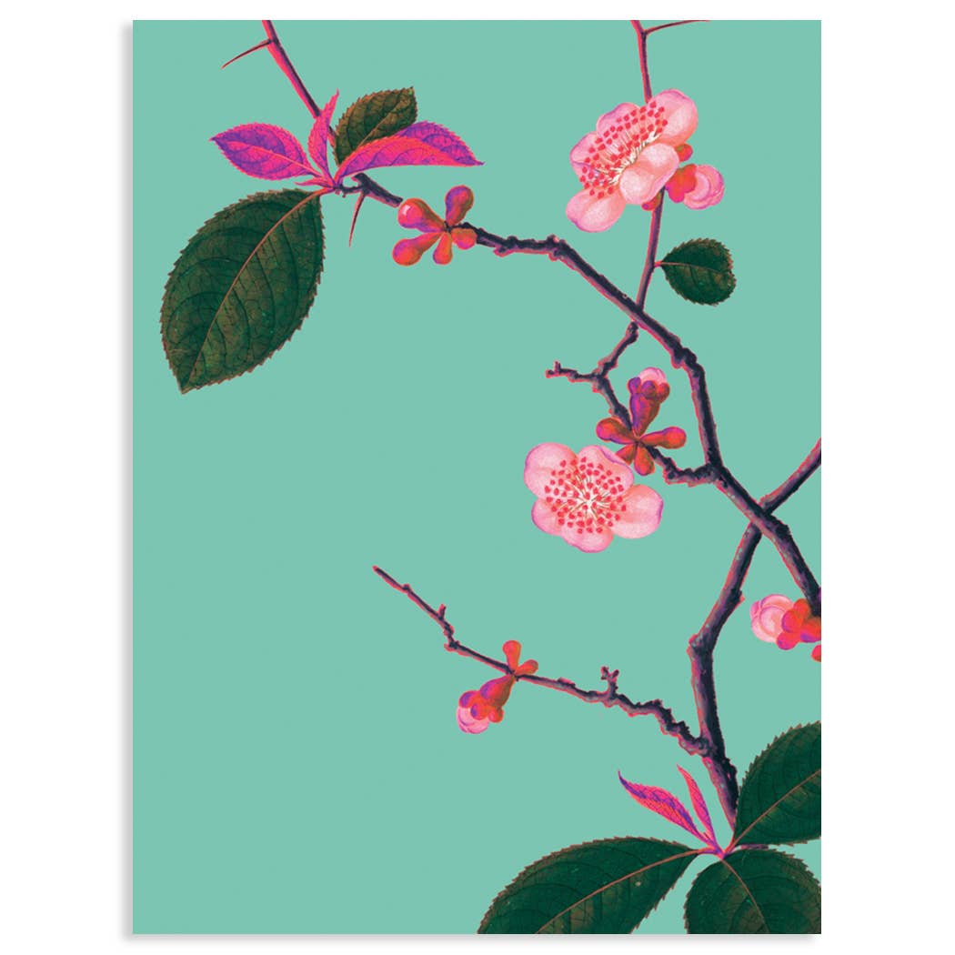 Pyrus Japonica Card - Moon Room Shop and Wellness