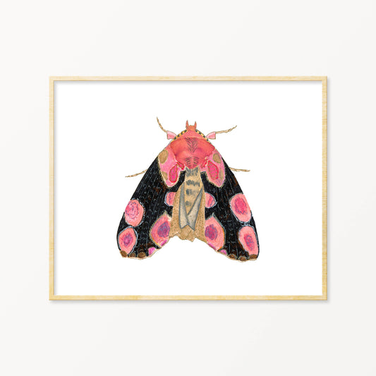 Moth #2 5x7 Art Print - Moon Room Shop and Wellness