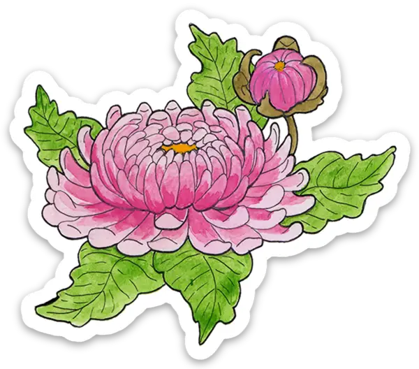Chrysantheum Flower Sticker - Moon Room Shop and Wellness