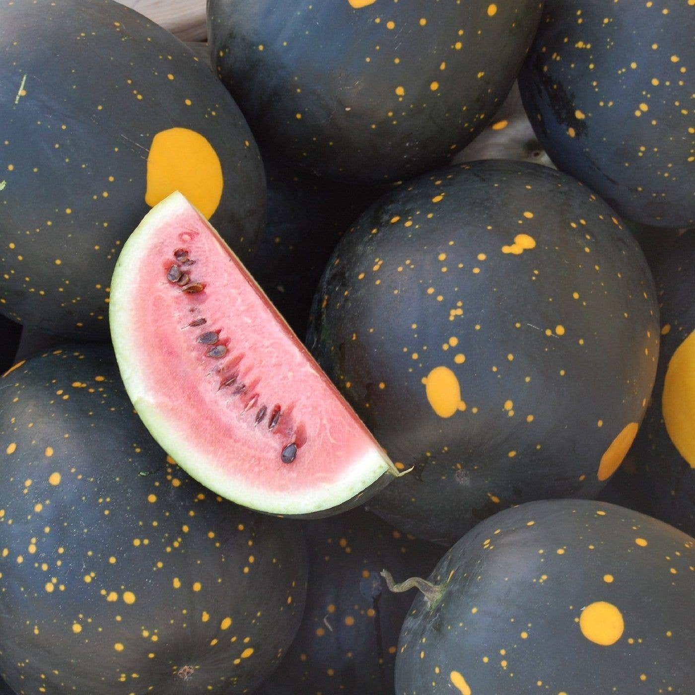 Moon + Stars Watermelon Tarot Seed Pack - Moon Room Shop and Wellness