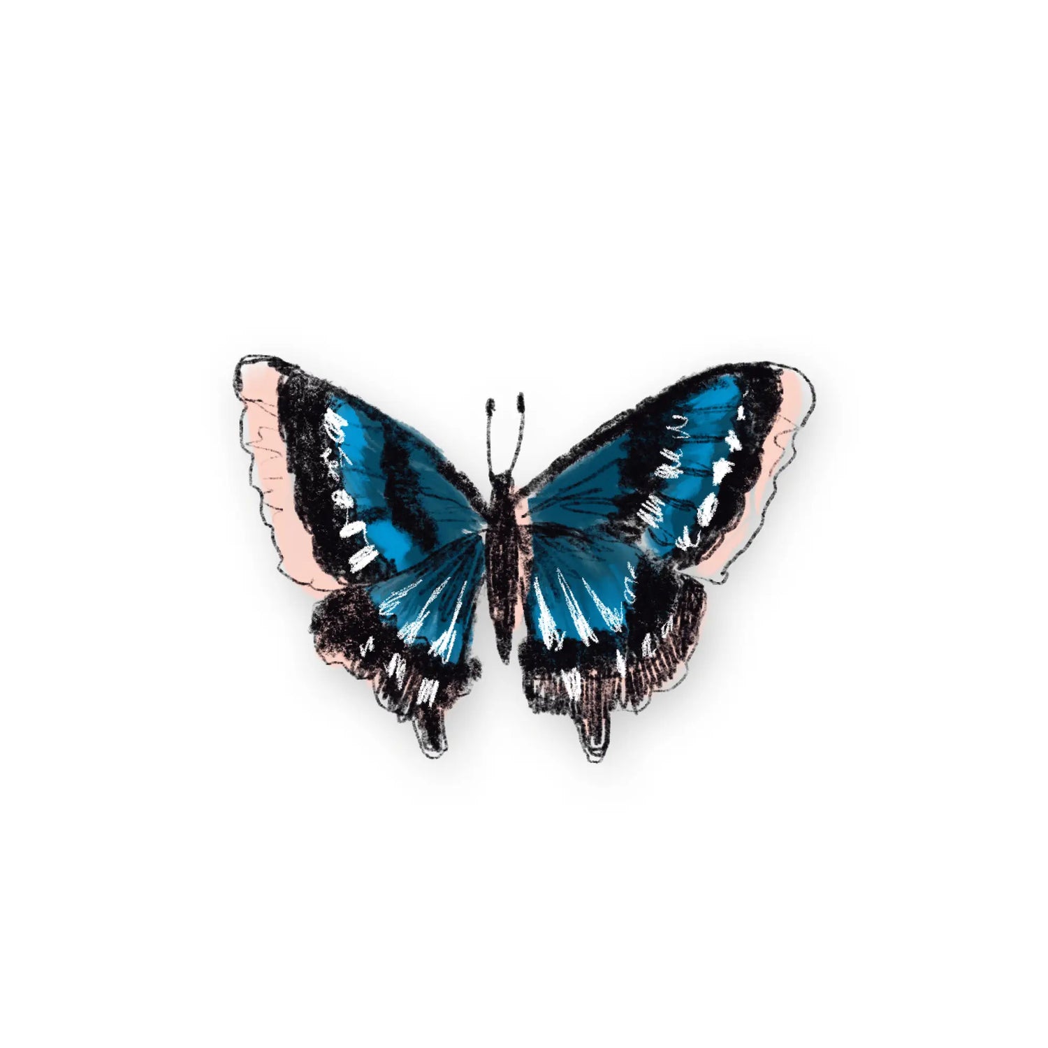 Antiquaria Sticker- Butterfly - Moon Room Shop and Wellness