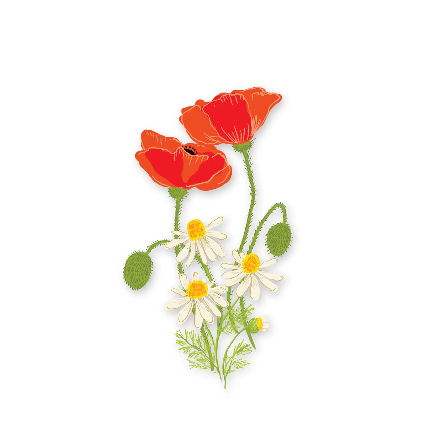 Antiquaria Sticker-Poppies - Moon Room Shop and Wellness