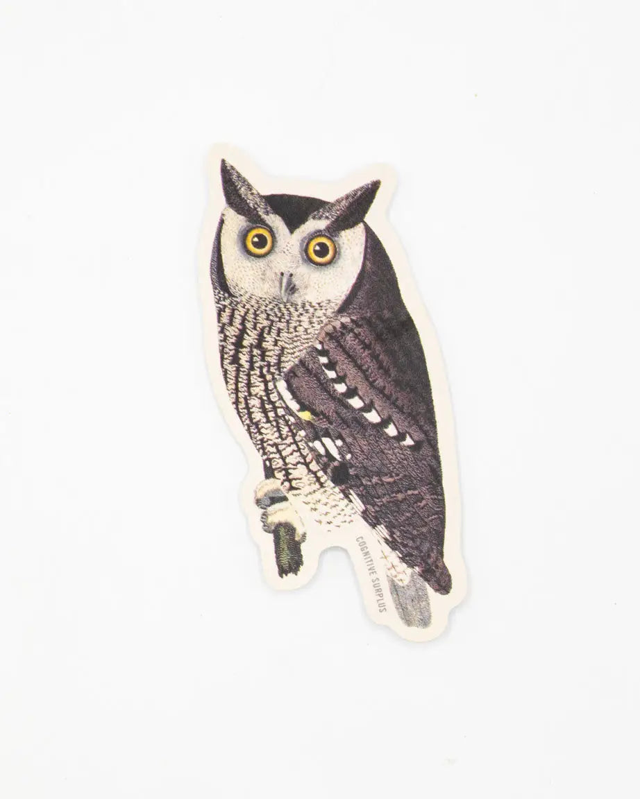 Motted Owl Sticker - Moon Room Shop and Wellness