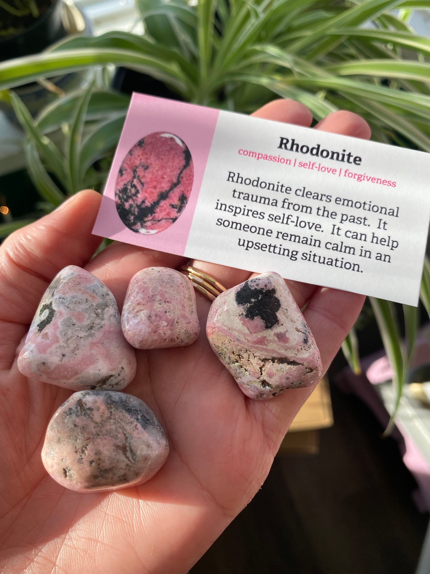 Rhodonite Tumbled from Peru - Moon Room Shop and Wellness
