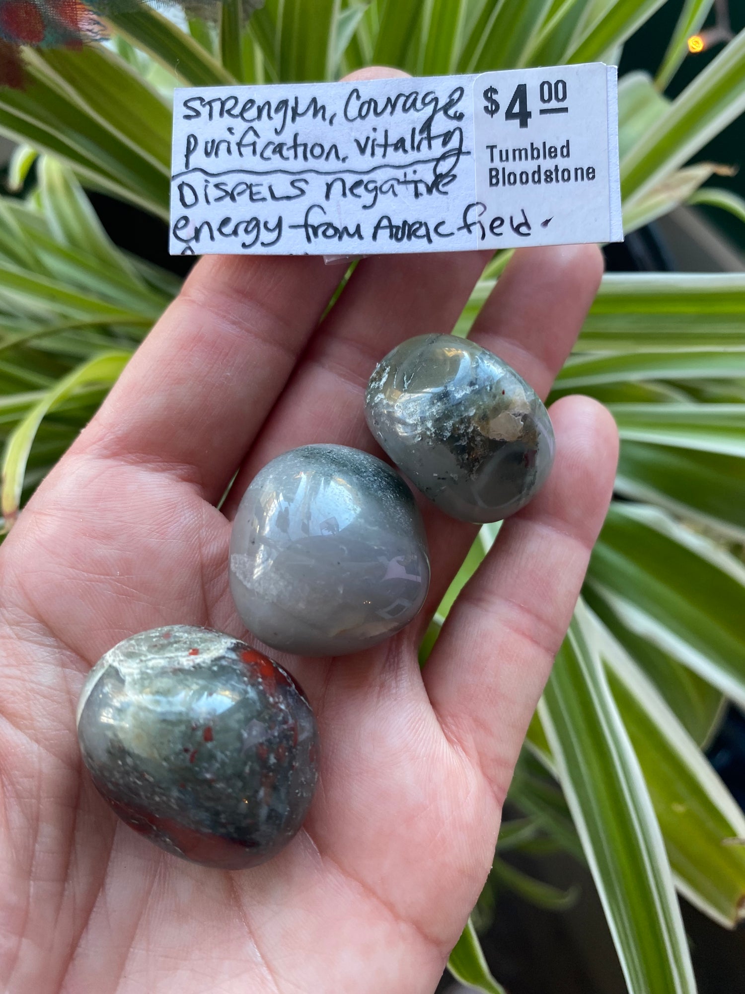 Bloodstone Tumbled - Moon Room Shop and Wellness