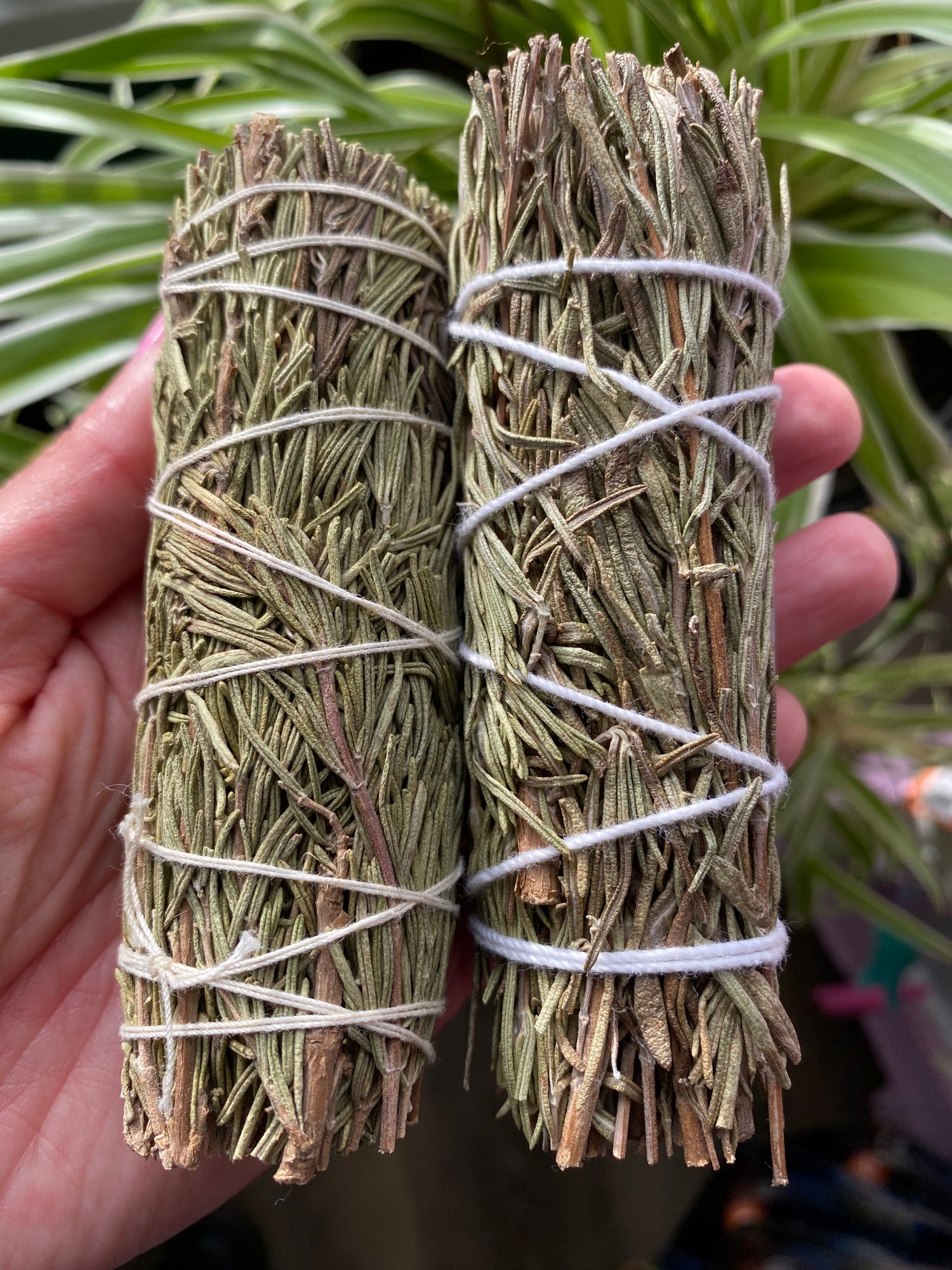 Rosemary Bundle-Premium quality- hand tied -No pesticides- sun dried - Moon Room Shop and Wellness