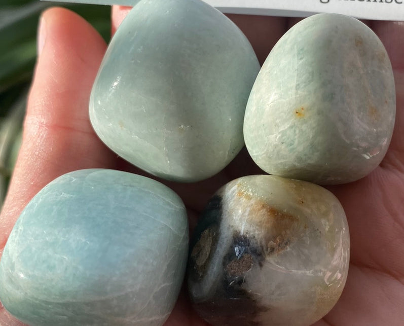 Amazonite Tumbled Large - Moon Room Shop and Wellness