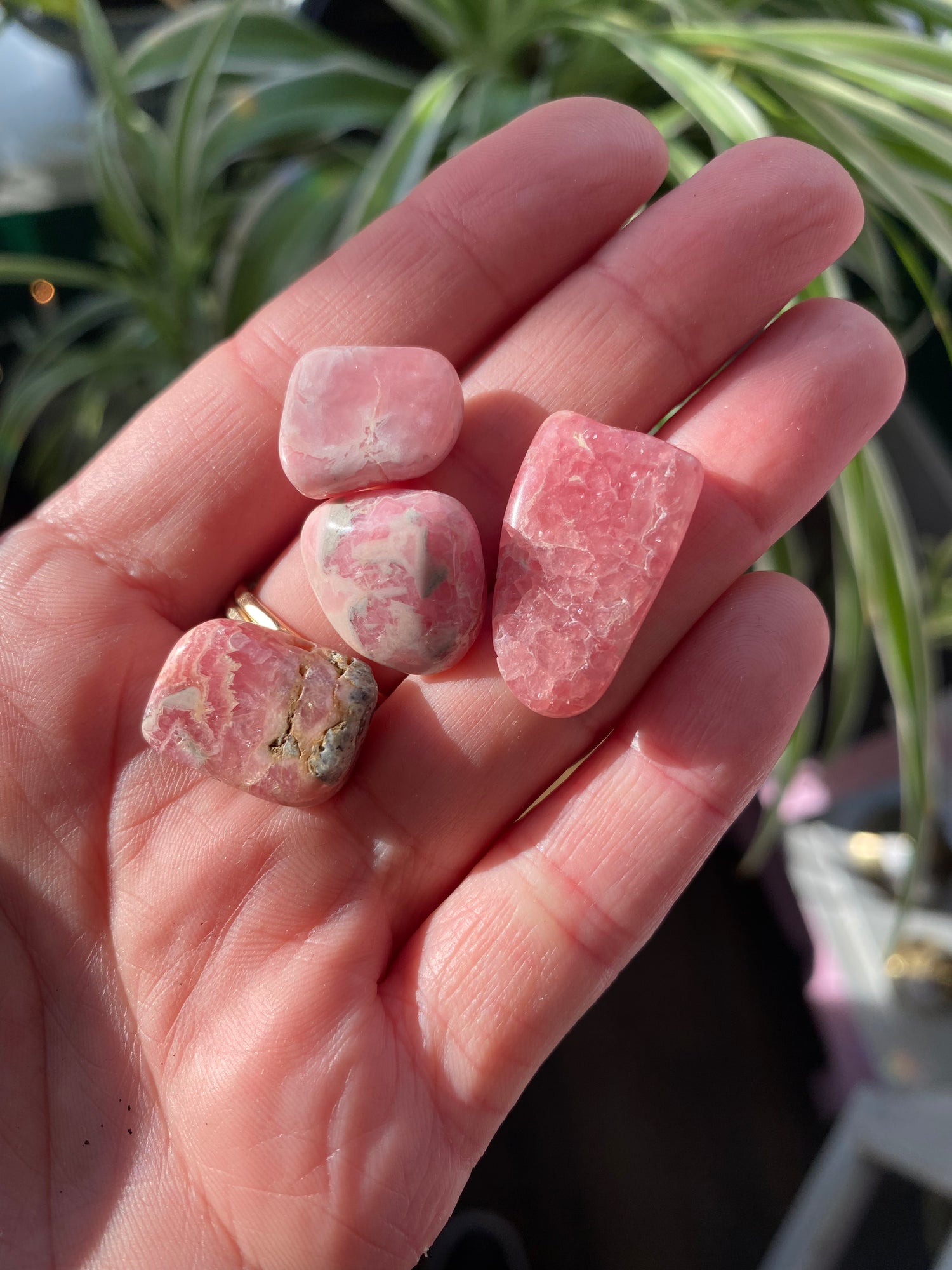 Rhodochrosite Tumbled- Small - Moon Room Shop and Wellness