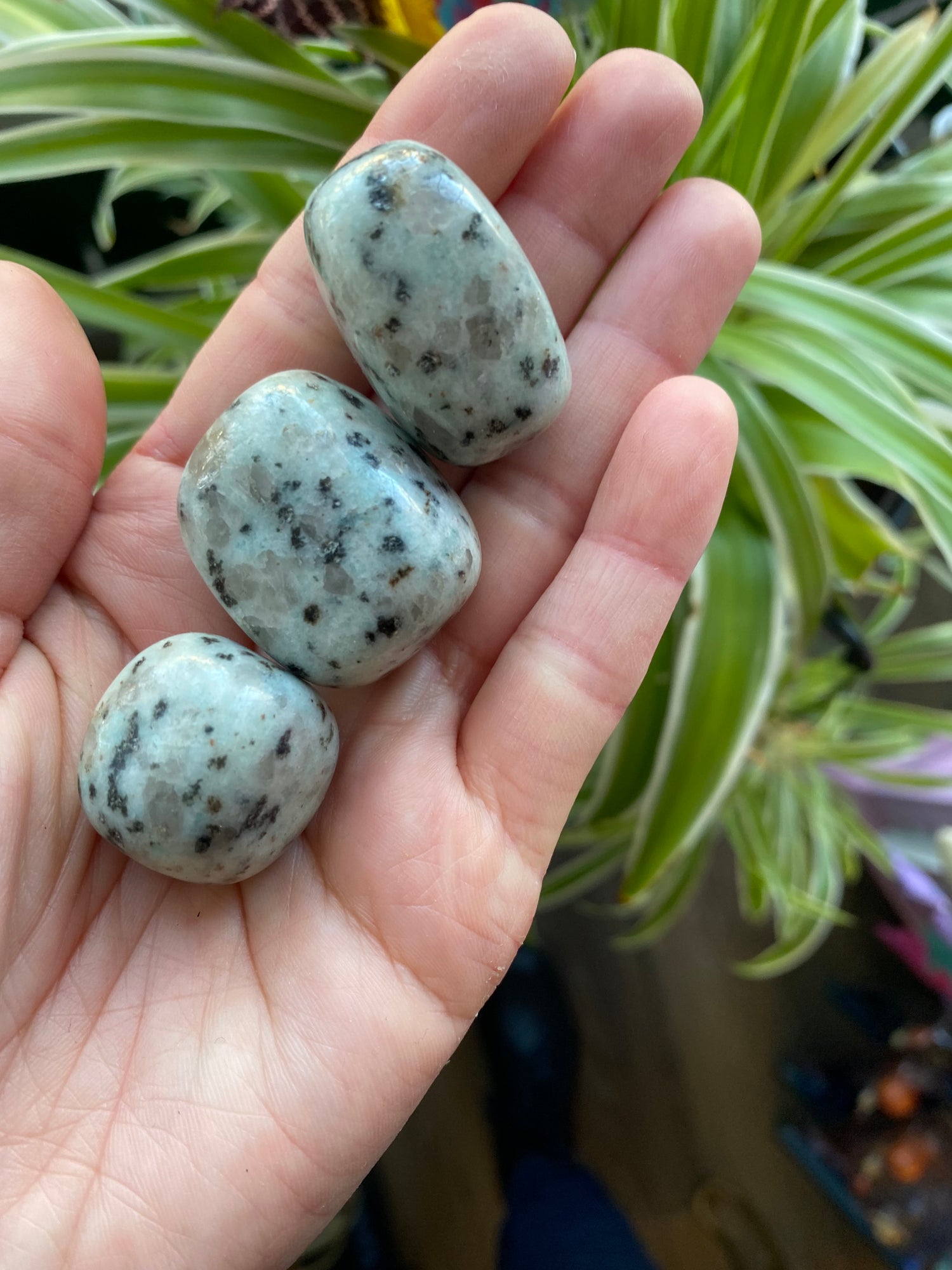 Kiwi Jasper Tumbled - Moon Room Shop and Wellness