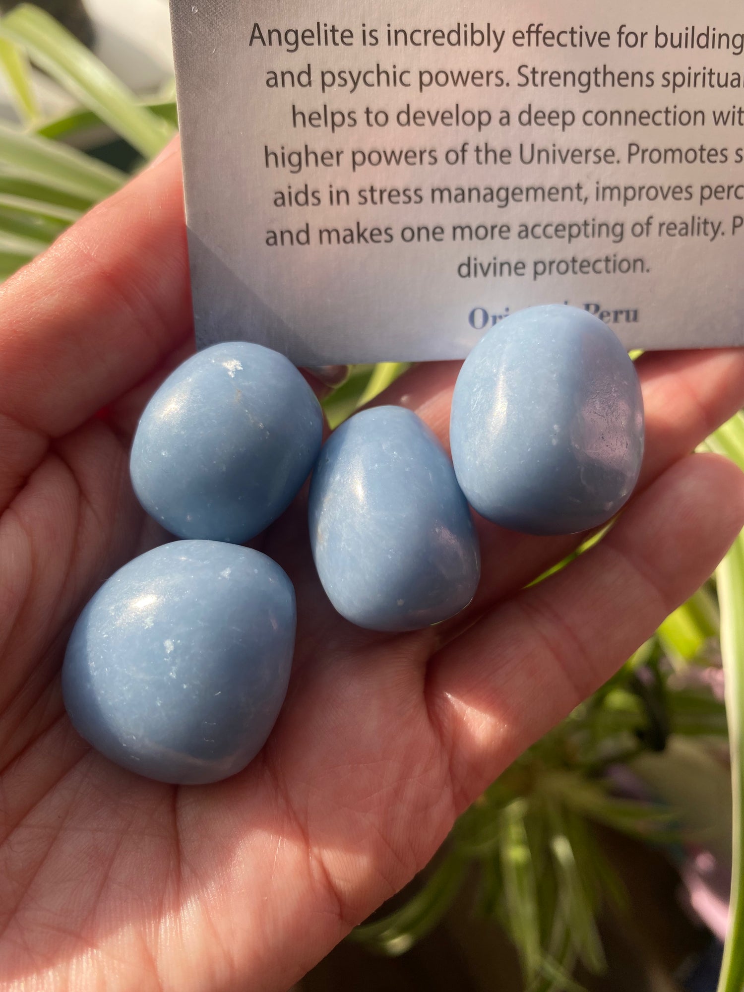 Angelite Tumbled Stone - Moon Room Shop and Wellness