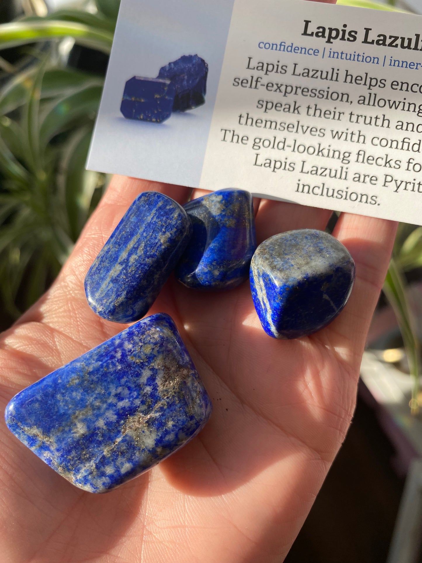 Lapis Tumbled Stone - Moon Room Shop and Wellness