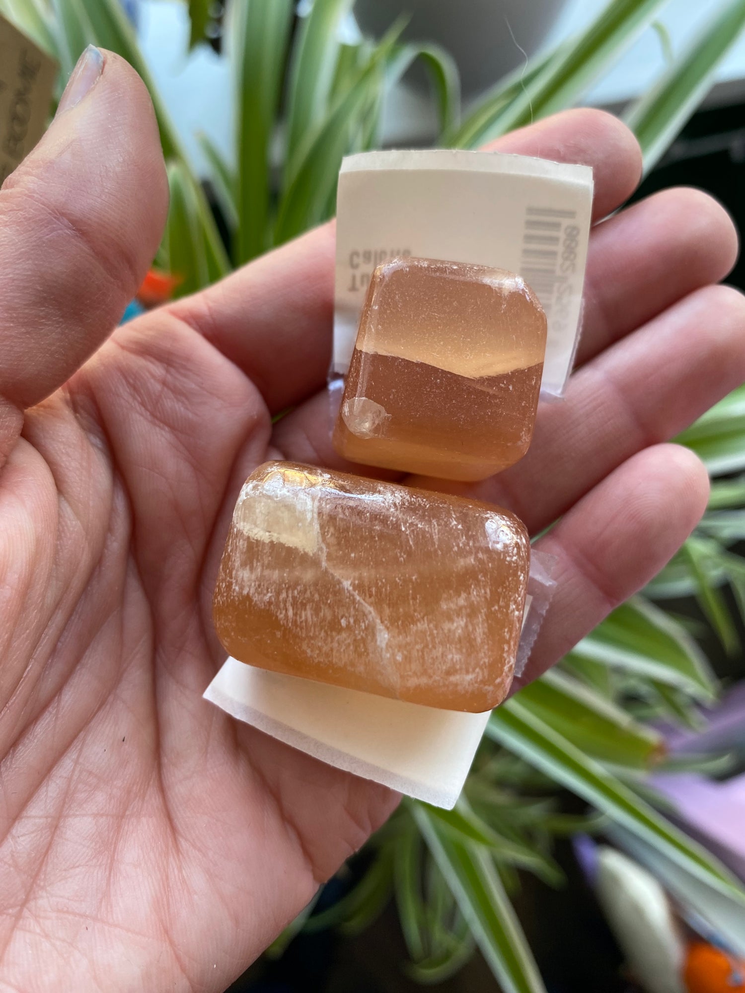 Honey Calcite Tumbled - Moon Room Shop and Wellness