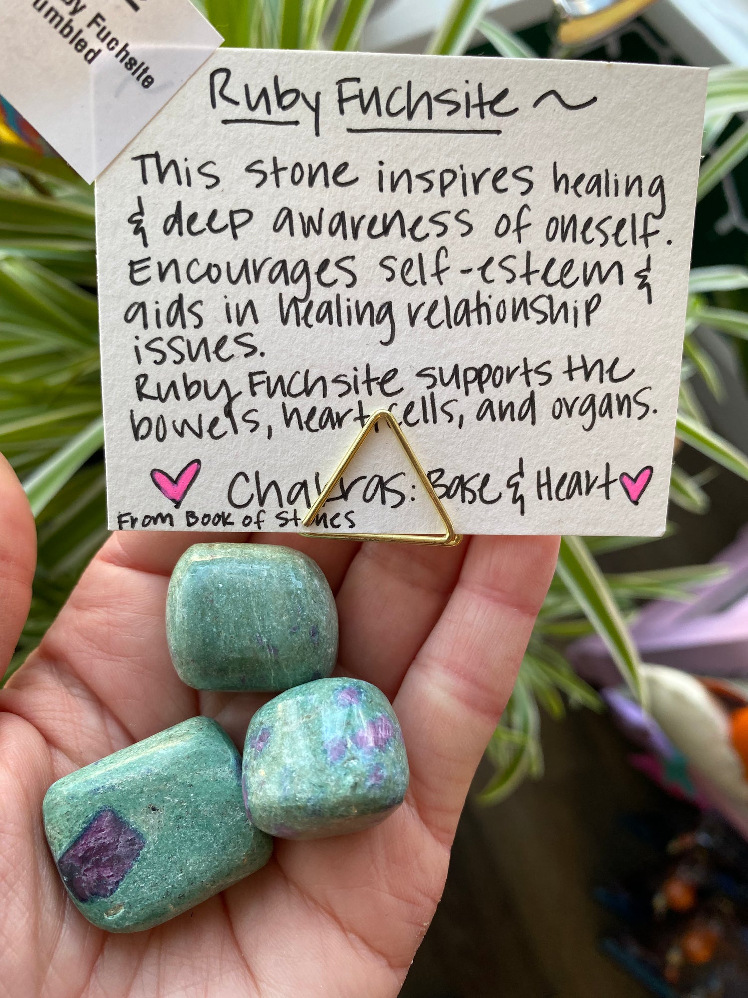 Ruby Fuchsite Tumbled - Moon Room Shop and Wellness